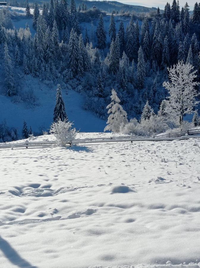 Ecottage Котедж Для Двох У Горах Із Чаном-Джакузі Slavske Buitenkant foto