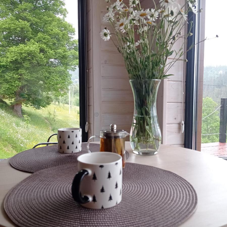 Ecottage Котедж Для Двох У Горах Із Чаном-Джакузі Slavske Buitenkant foto